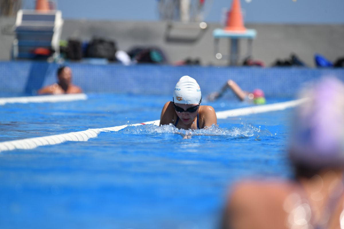 ZwemExpert Schoonspringen Zomerkamp 2026